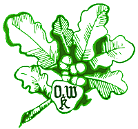 OWK Logo