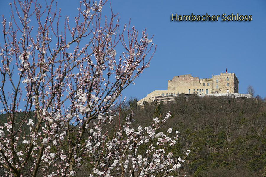 Hambacher Schloss