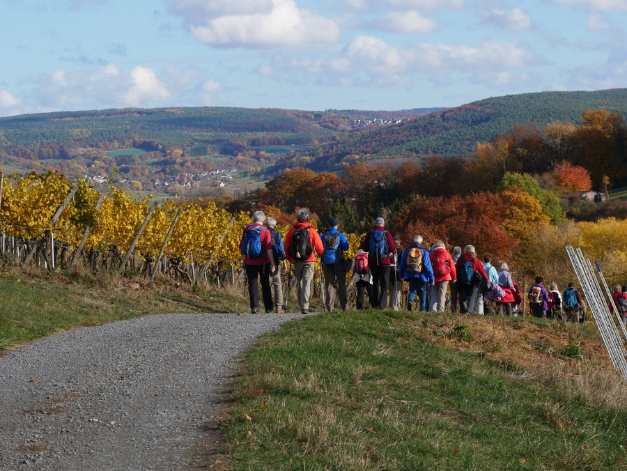 Spessartblick von der Weinlage Lützeltal