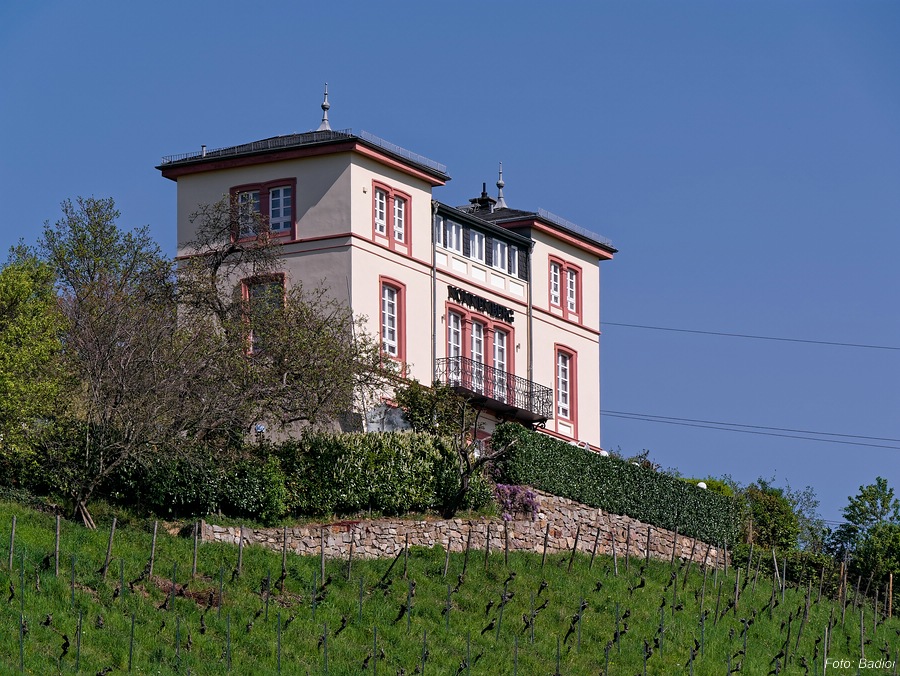 Weinlage Nonnenberg in Martinsthal