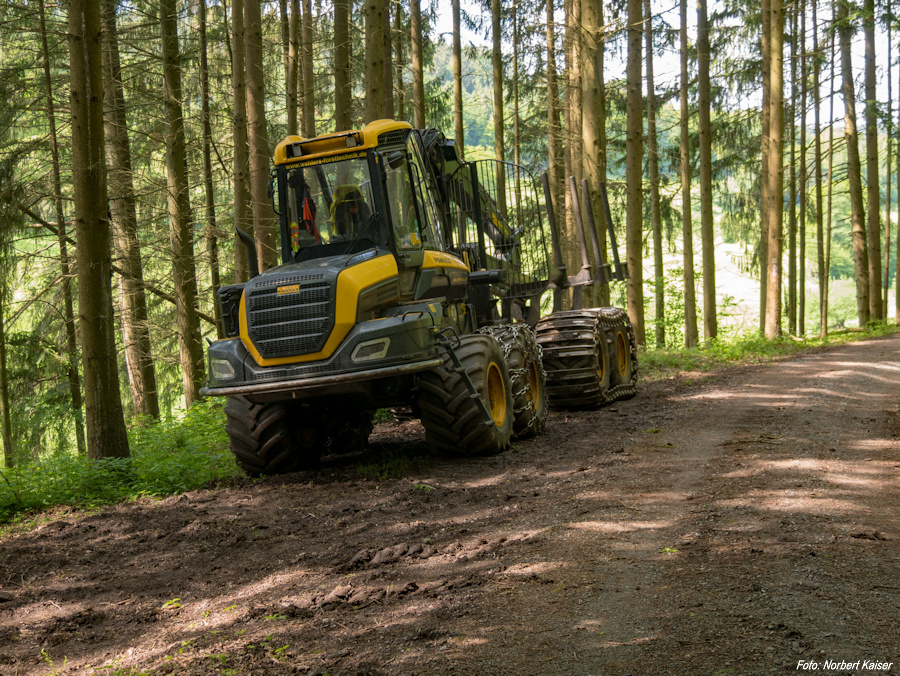 Wandergruppe am Ebersberger Felsenmeer