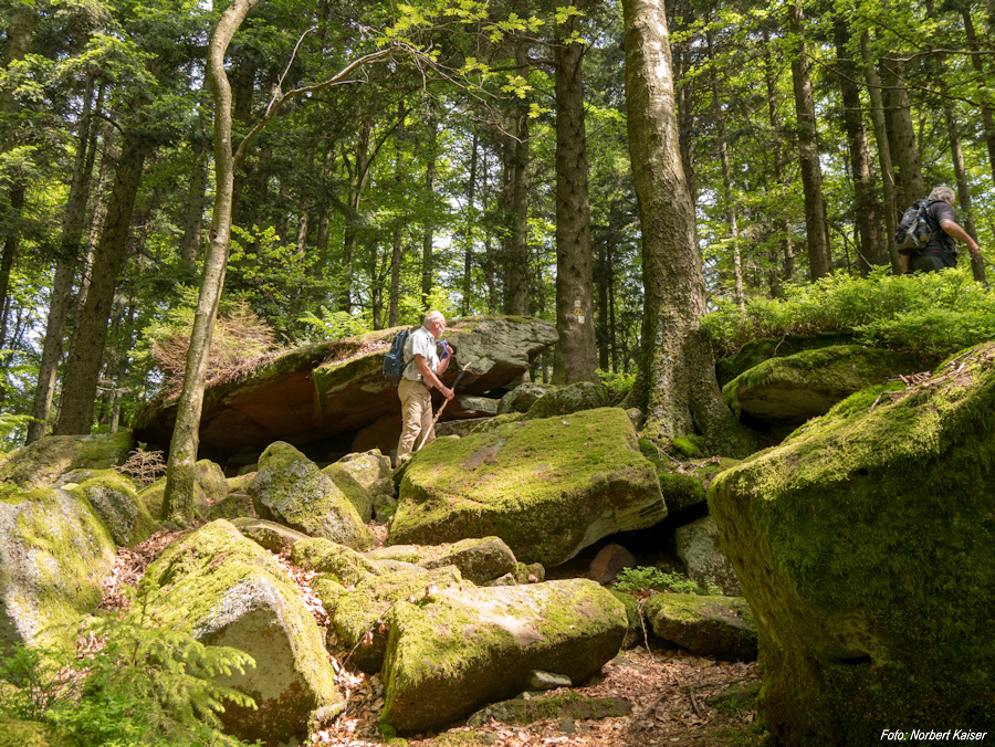 Ebersberger Felsenmeer