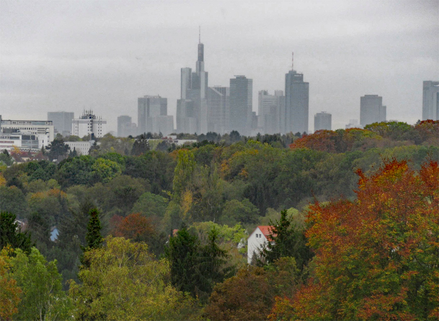 Blick vom Lohrberg auf Frankfurts Skyline