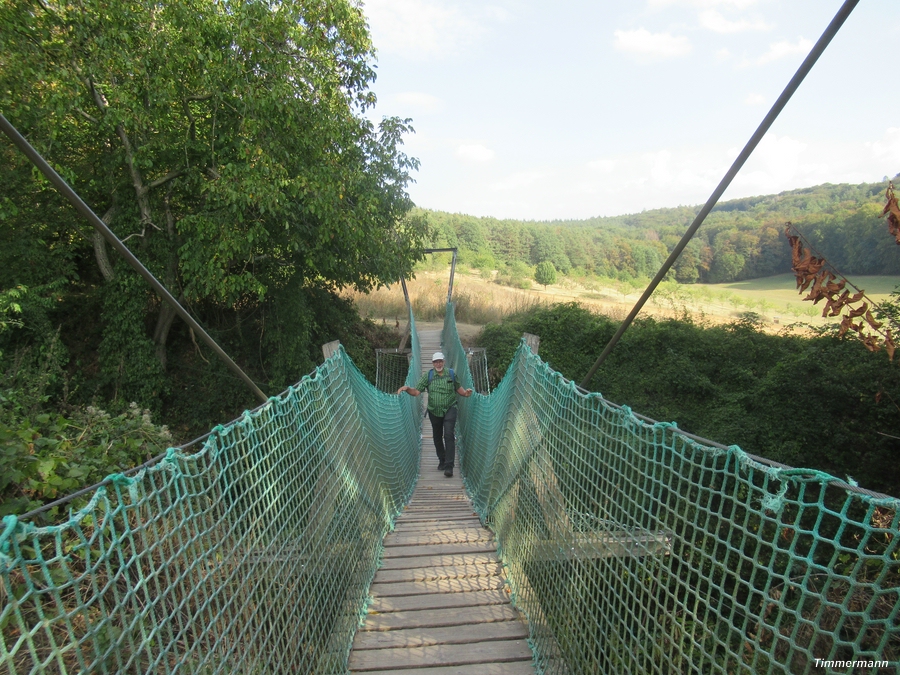 schwankende Hängebrücke über eine Lößschlucht