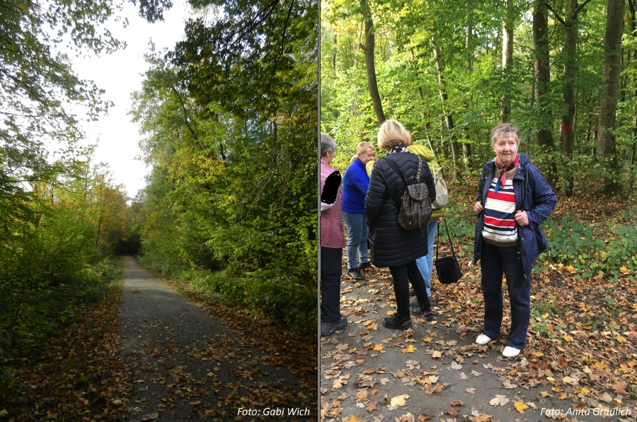 Fotos von der Wanderung am 22.10.2020