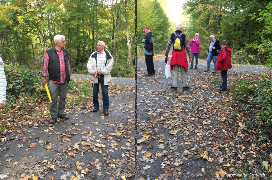 Fotos von der Wanderung am 22.10.2020