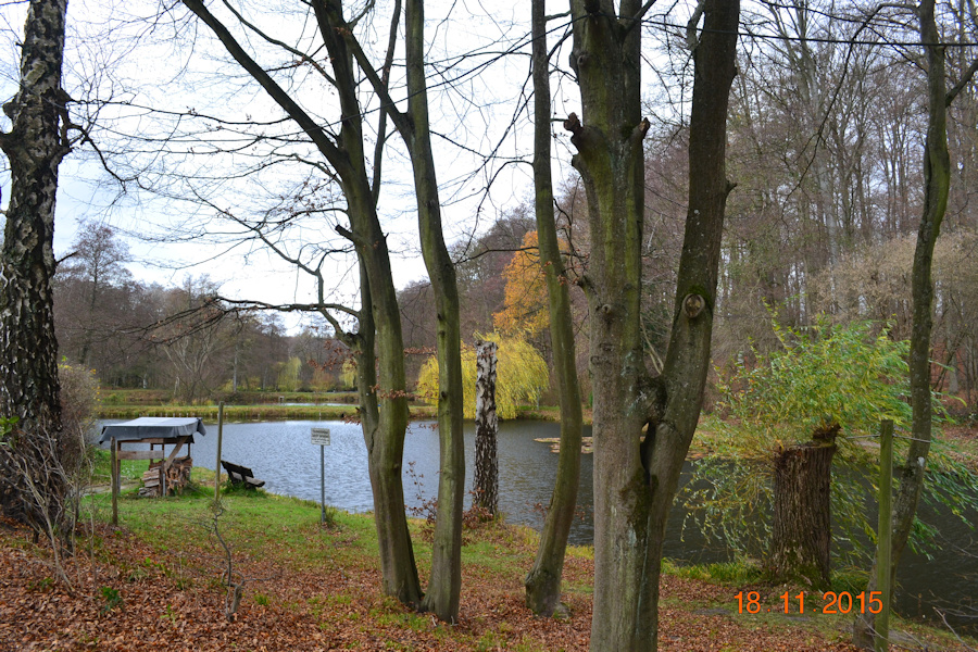 Blick auf den Teich an der Fischerhütte