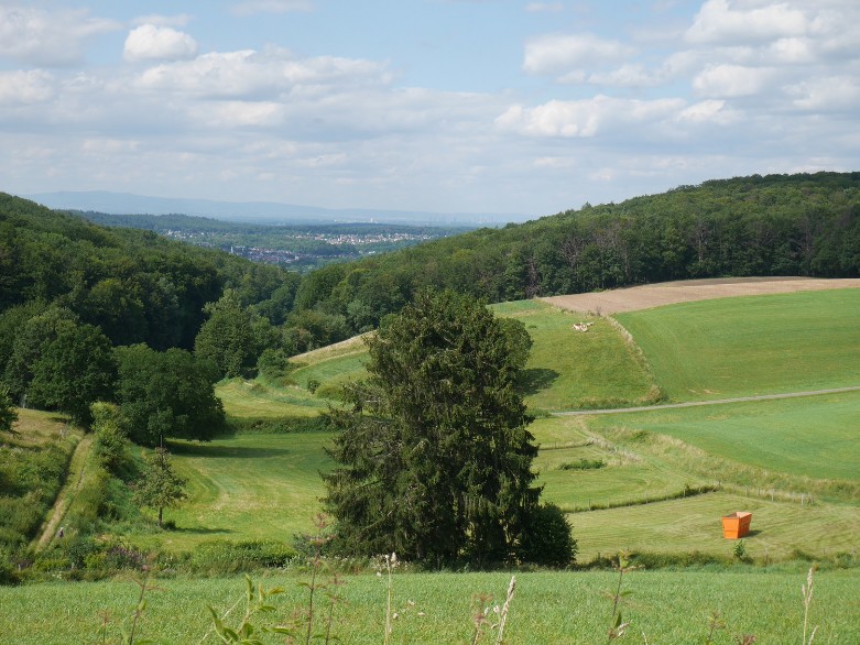 Blick von der Hohen Straße