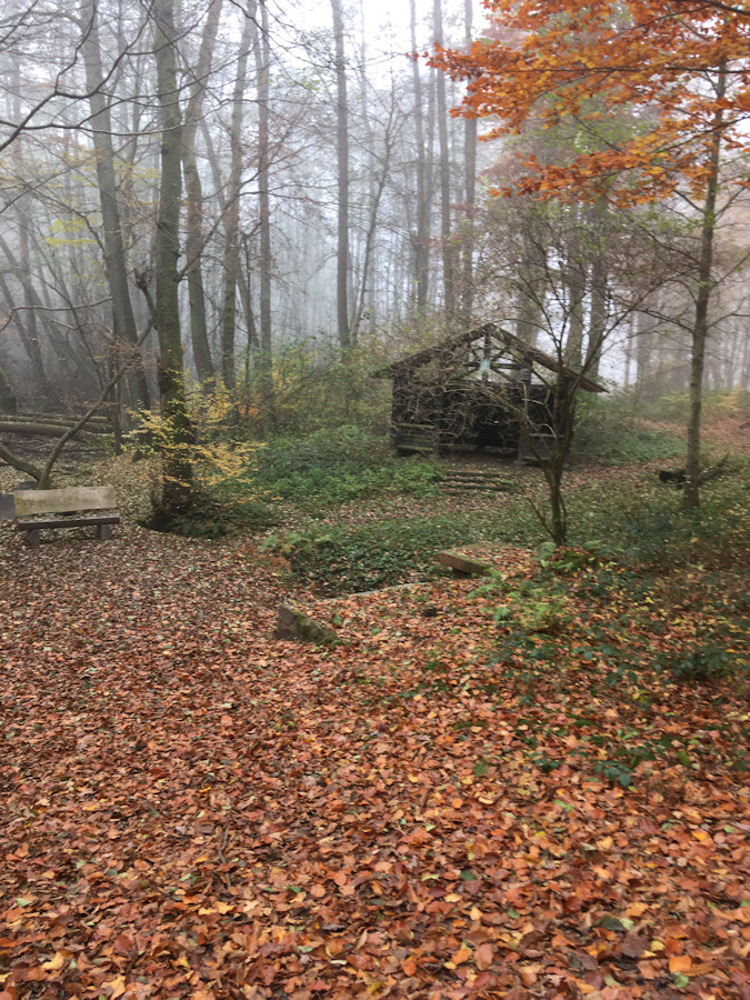 Waldhuette im Nebel