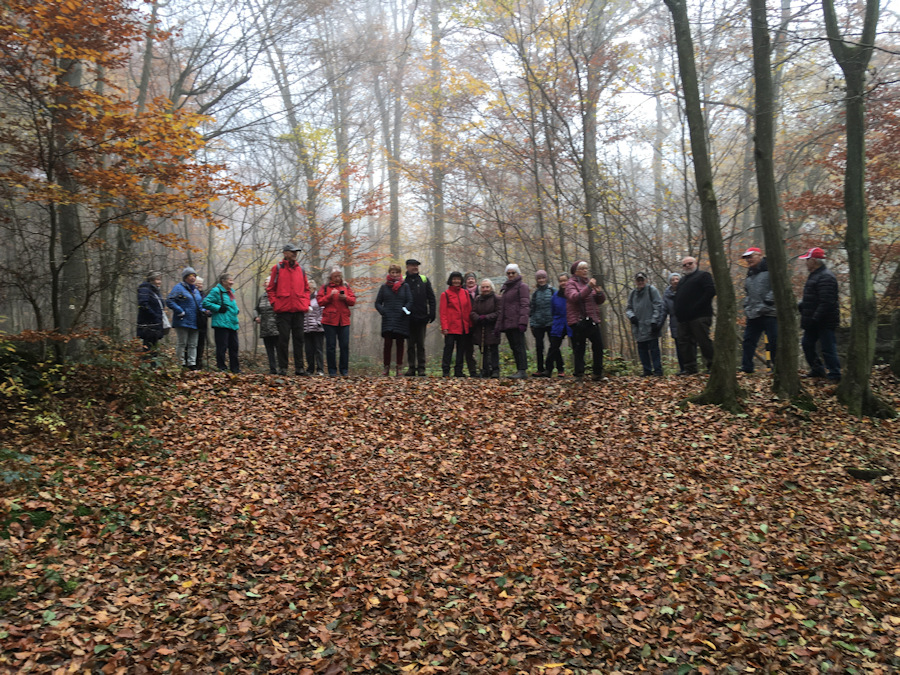 Wandergruppe im Nebelwald