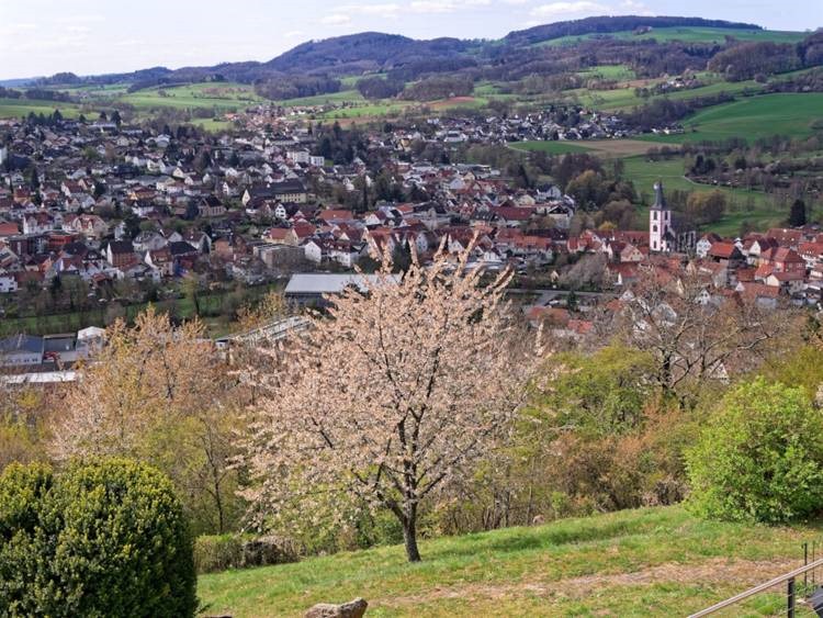 Reichelsheim-Fruehling