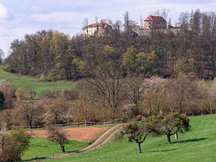 Schloss-Reichenberg