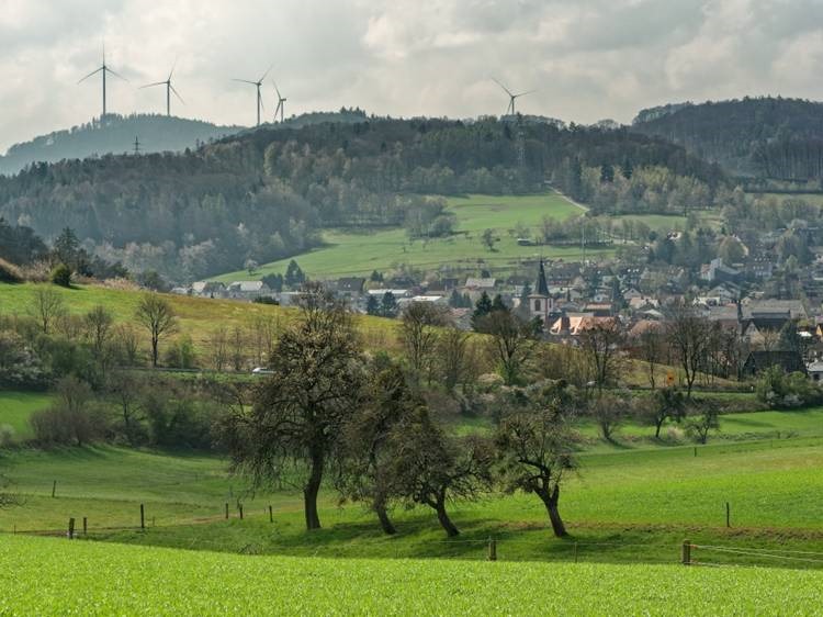 Streuobstwiesen-Reichelsheim