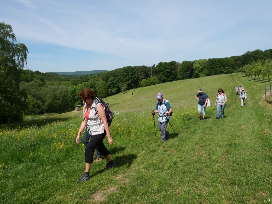 14km-Gruppe auf dem Weg zum Hofgut Hauenstein