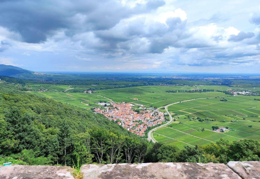 Blick von der Madenburg