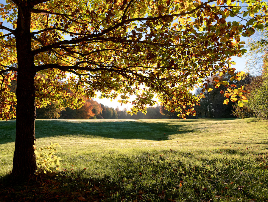 Golf-Club-Neuhof1