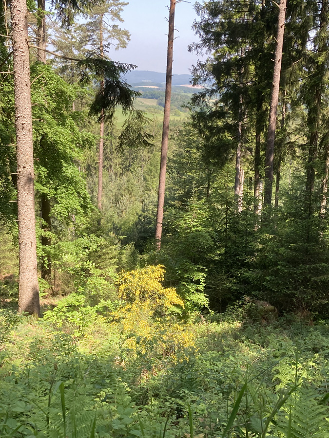 Wanderung Wegscheide – Lärmfeuer - Erzbach