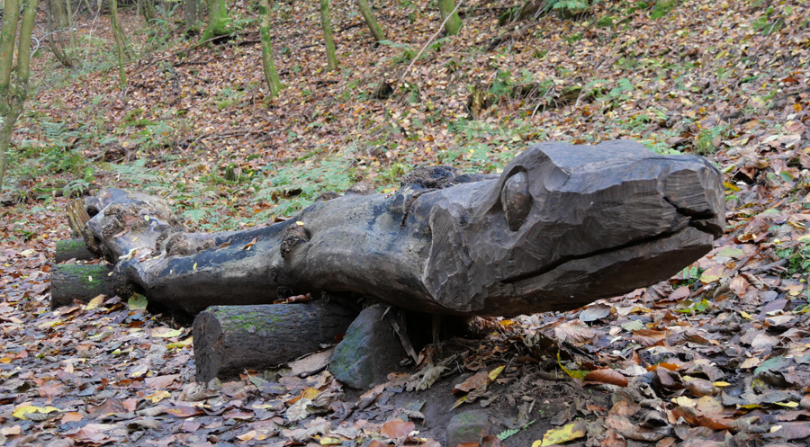 Schlange in der Obrunnschlucht