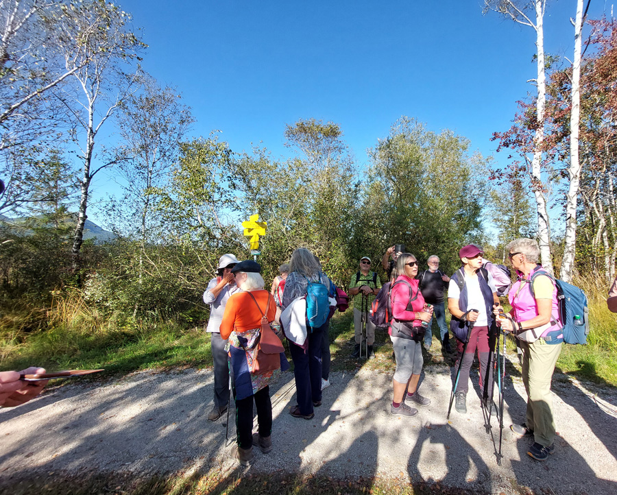 Wanderung-durchs-Moor