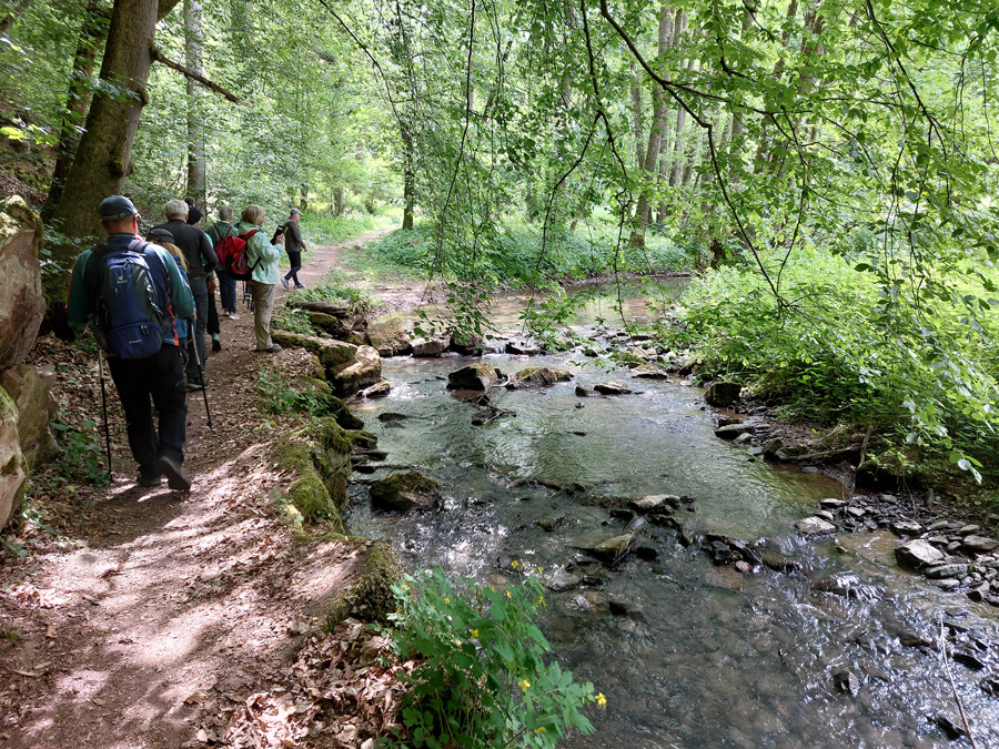 den-Buchenbach-entlang-nach-Mariabuchen.jpg