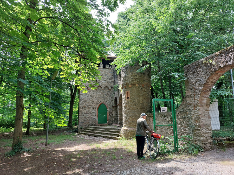 Ruine-Kippenburg