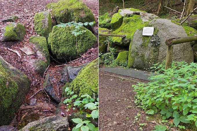 Modau-und-Lauter-Quelle