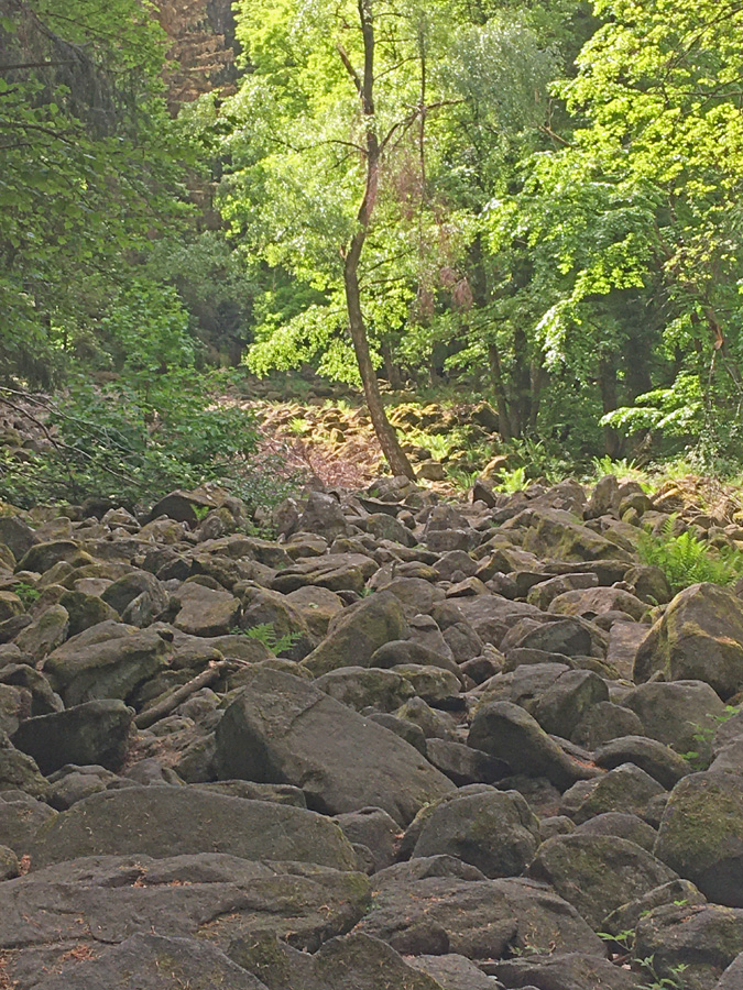 Felsenmeer.jpg