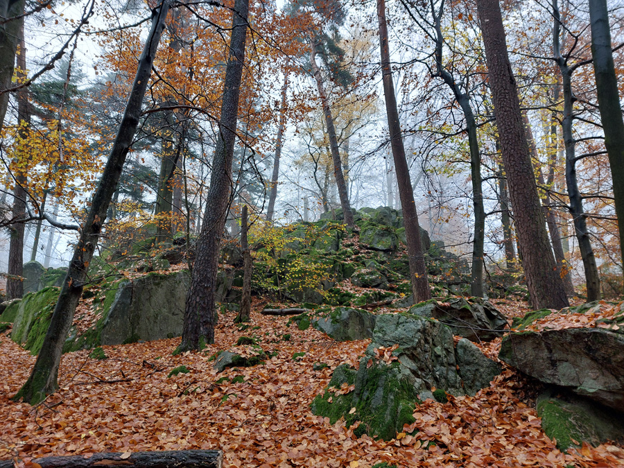 imposante-Felsgruppe-am-Weg