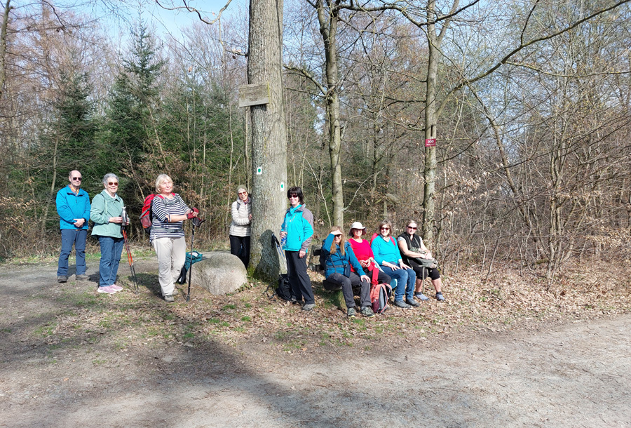16km-Gruppe-vor-Rohrbach