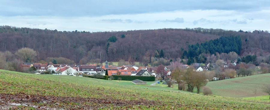 Blick-auf-Wembach