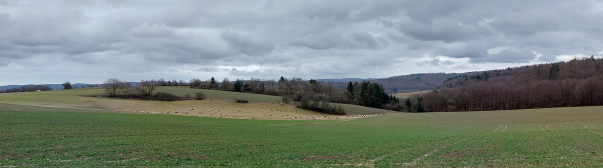 Blick-vom-Parkplatz-Heidekopf