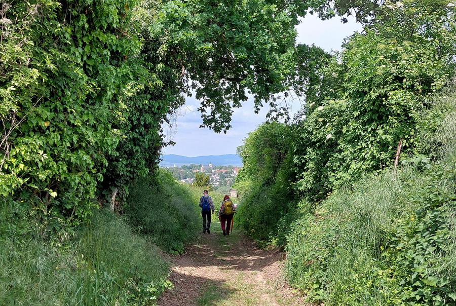 Burgkirche-vom-Hohlweg-aus