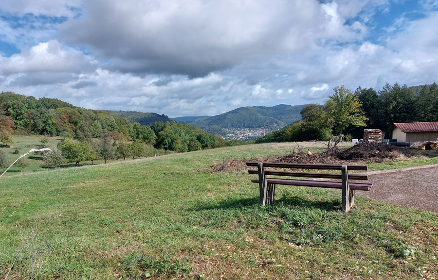 Ausblick-Neckartal