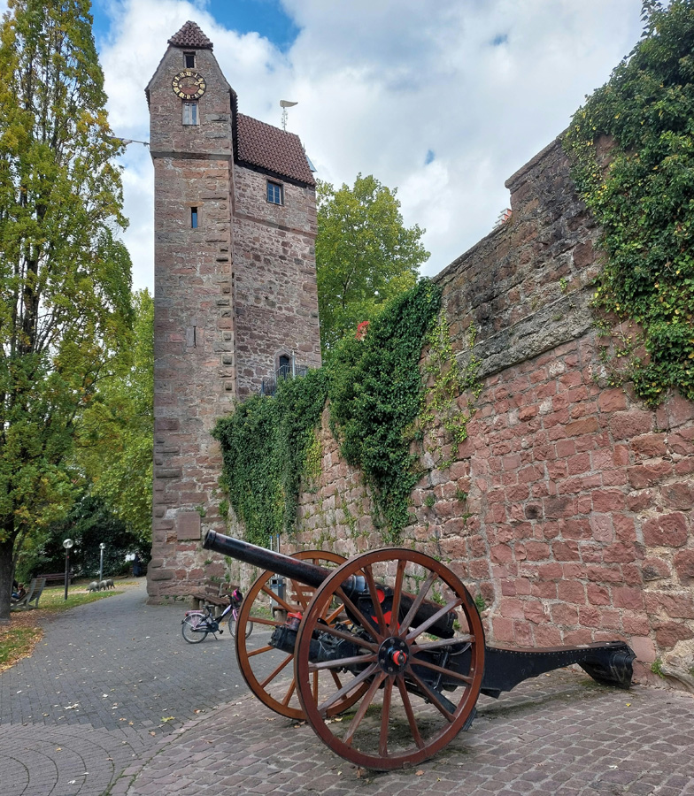 Burg-Hirschhorn