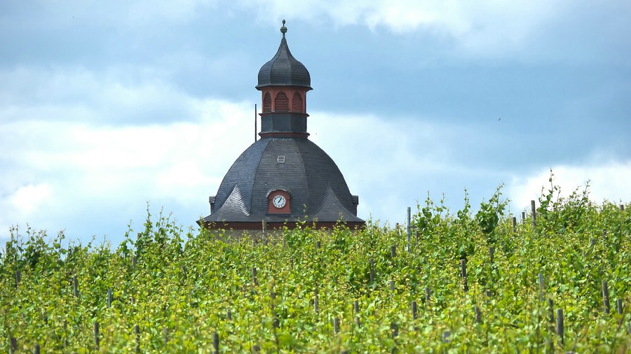 Das Schloss Vollrads liegt in einer, von drei Seiten geschlossenen, Senke