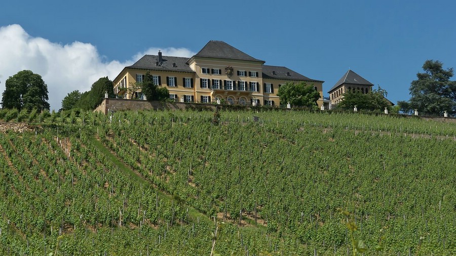 Schloss Johannisberg von Süden, links ist die Aussichtsterrasse