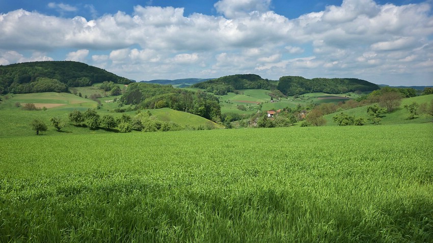 Auf der Fischershöhe, oberhalb von Erzbach