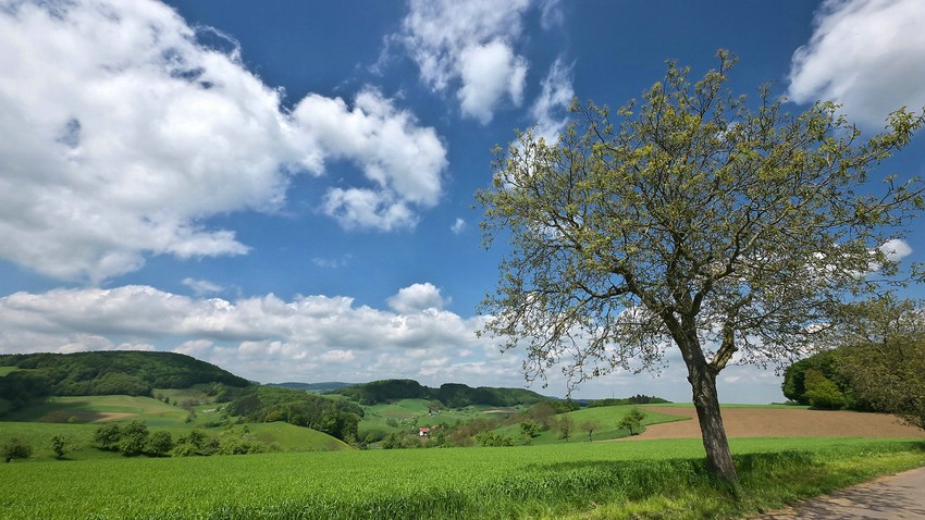 Auf der Fischershöhe, oberhalb von Erzbach