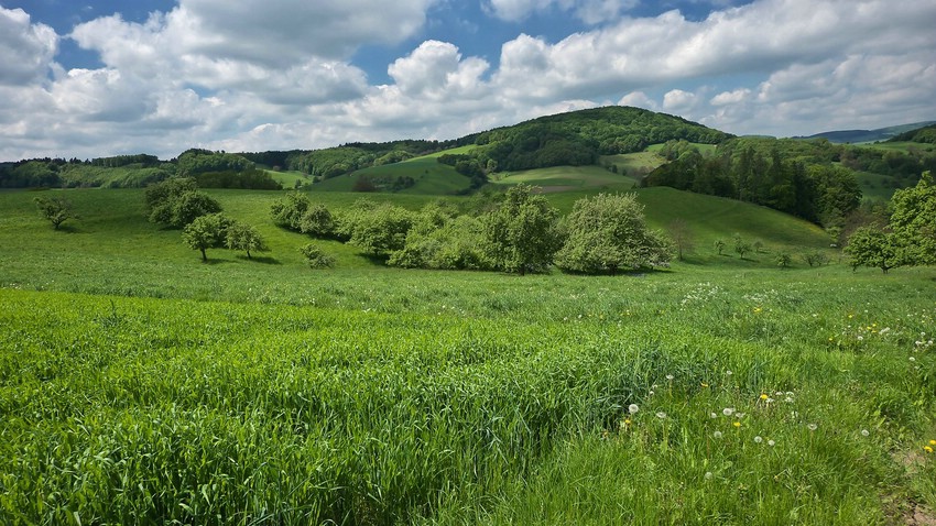 Auf der Fischershöhe, oberhalb von Erzbach