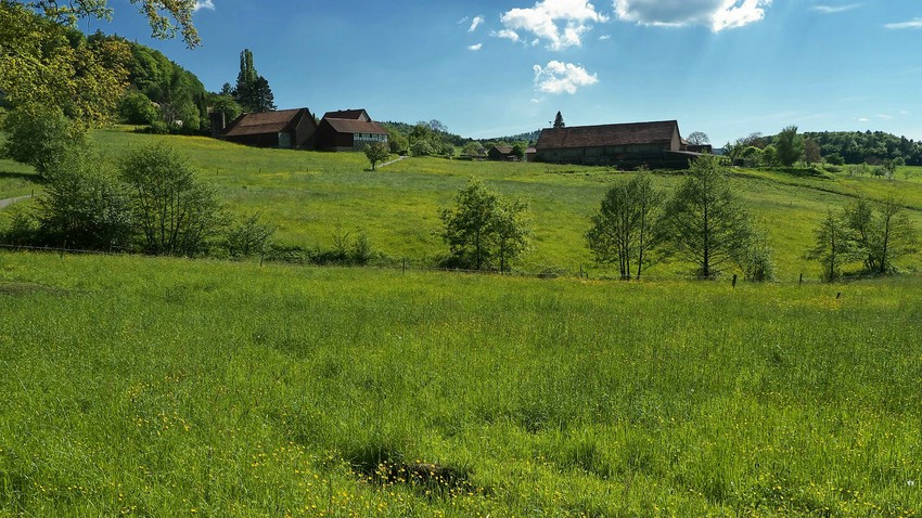 Reiterhof im Oberdorf oberhalb von Rohrbach