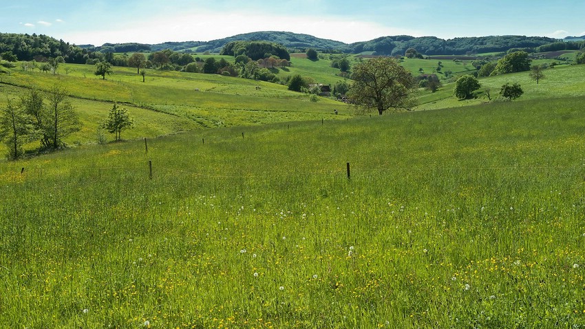 Blick auf Rohrberg