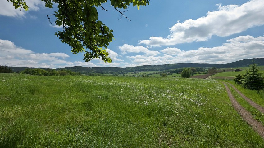 Roter Berg, oberhalb von Unter-Ostern