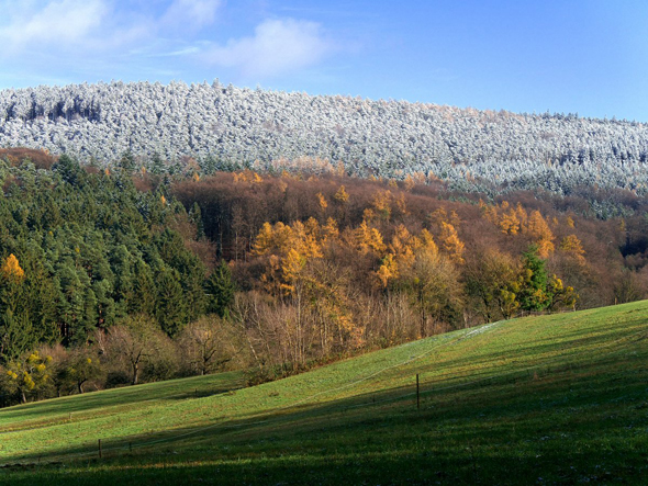 Wegweiser zur Vierstöck und zum Neesstein