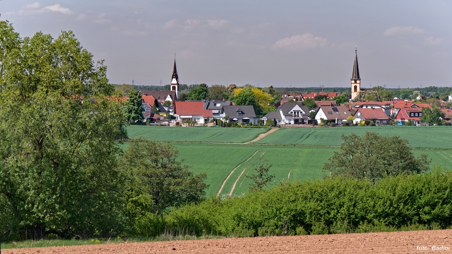 GrZi vom Gallenberg