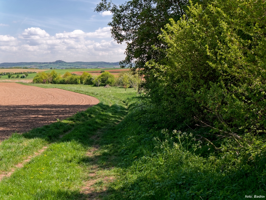 Otzbergblick-vom-Fellborn