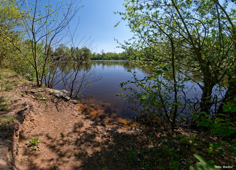 der Wolfgangsee