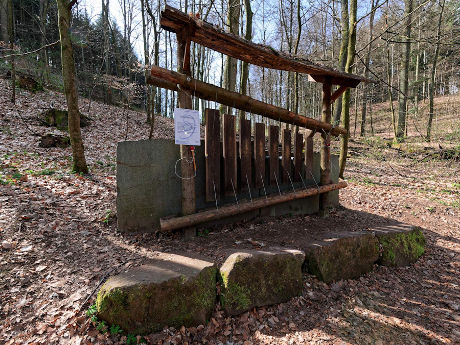 HammKlang-Wald-Marimba.jpg