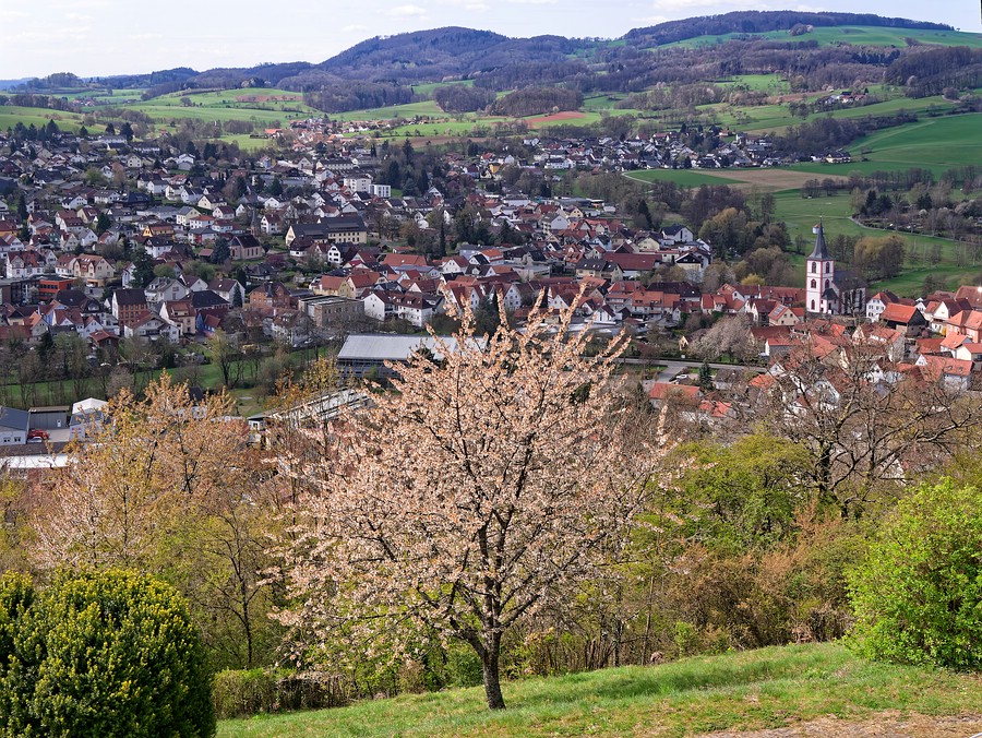 Schloss Reichenberg - Blick